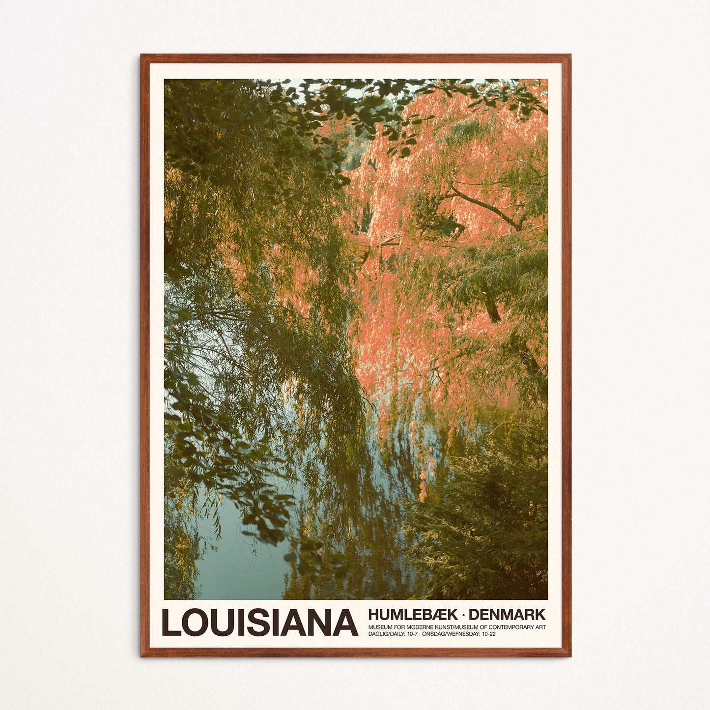 Affiche : Louisiana #1